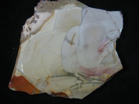 Willow Creek Jasper Slab