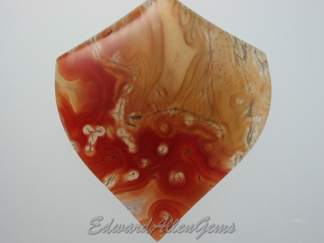 Thunderegg Agate Cabochon