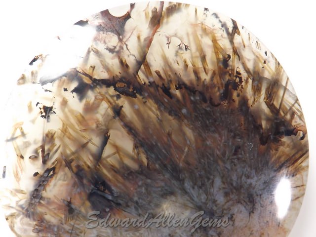 Sagenite Agate Cabochon