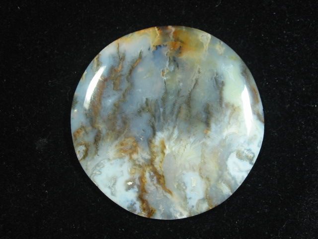 Plume Agate Cabochon