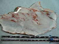 Burro Creek Slab