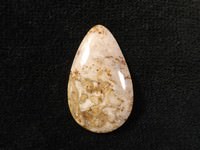 Palm Root Cabochon